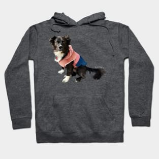 Pippin (2022) Hoodie